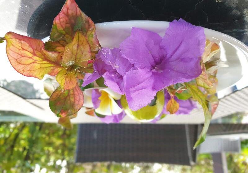 酒店 Best Western Plus Zanzibar