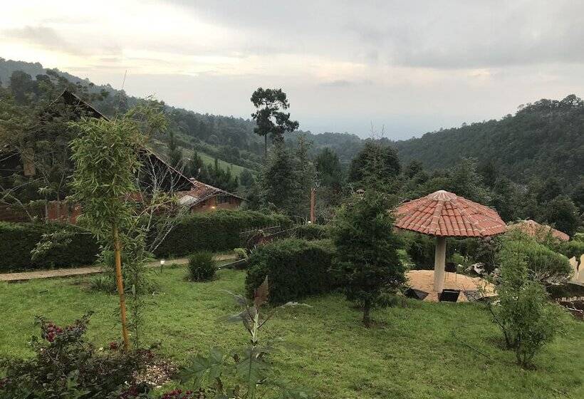 호텔 Cabañas Y Suites Sergia Torres