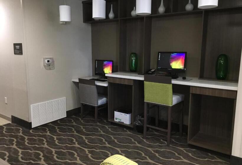 בית מלון כפרי Comfort Inn & Suites Snyder