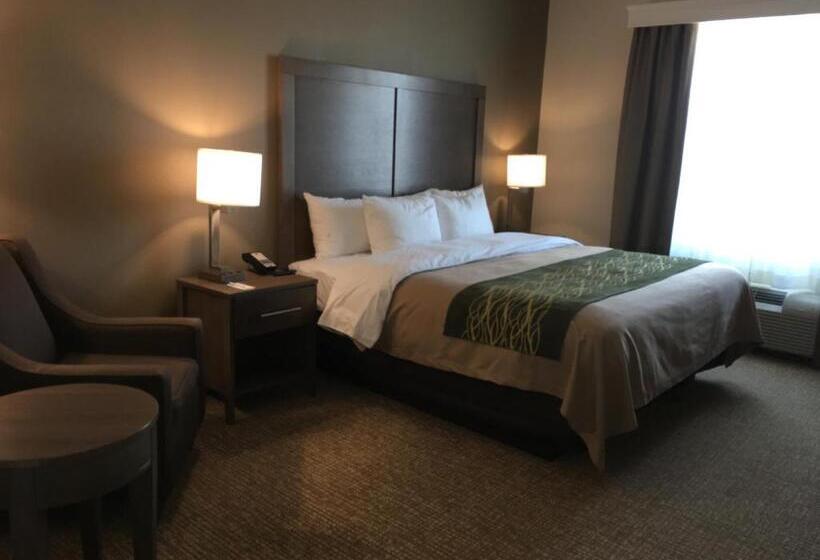 호텔 Comfort Inn & Suites Snyder