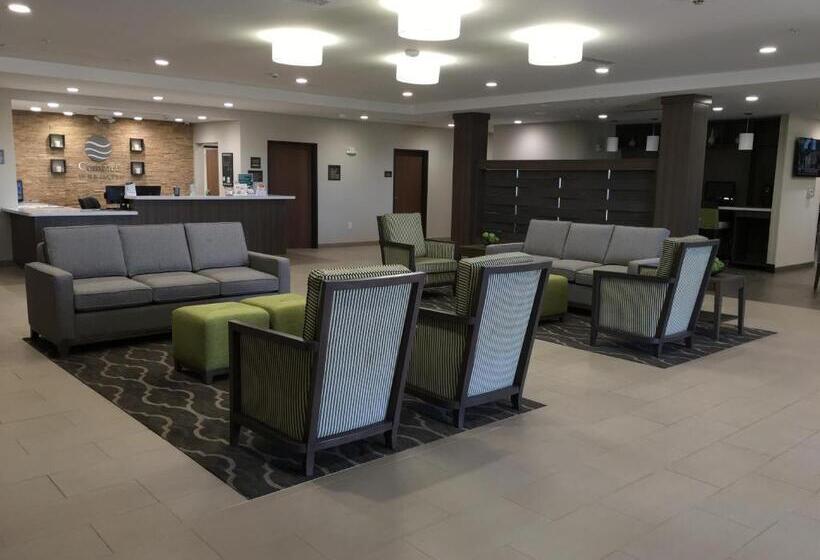 호텔 Comfort Inn & Suites Snyder