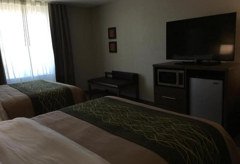 酒店 Comfort Inn & Suites Snyder