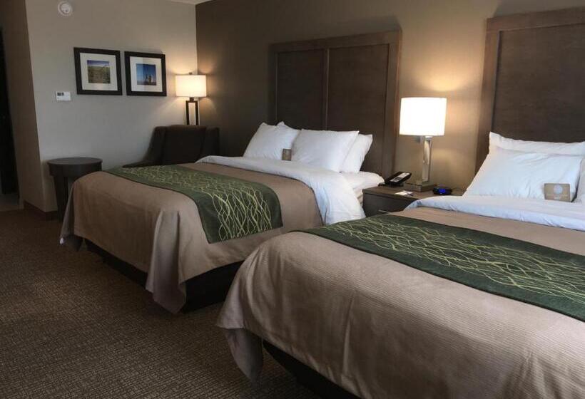 호텔 Comfort Inn & Suites Snyder