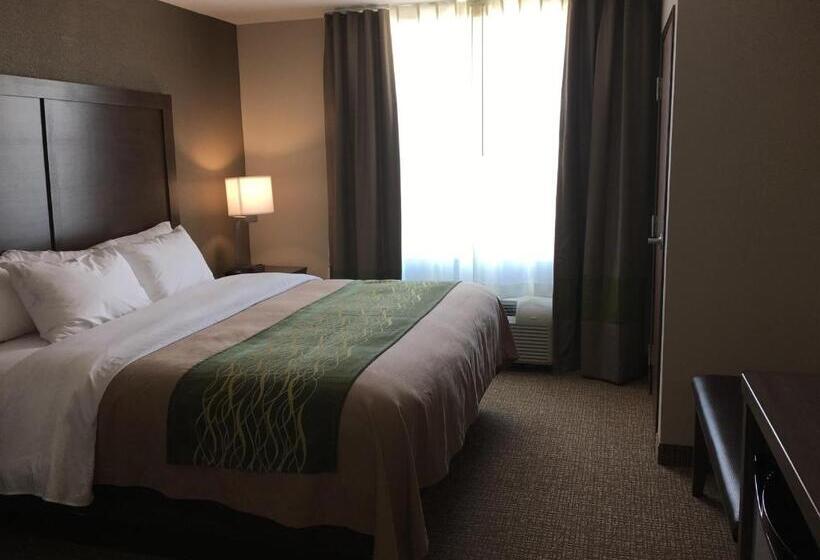 בית מלון כפרי Comfort Inn & Suites Snyder