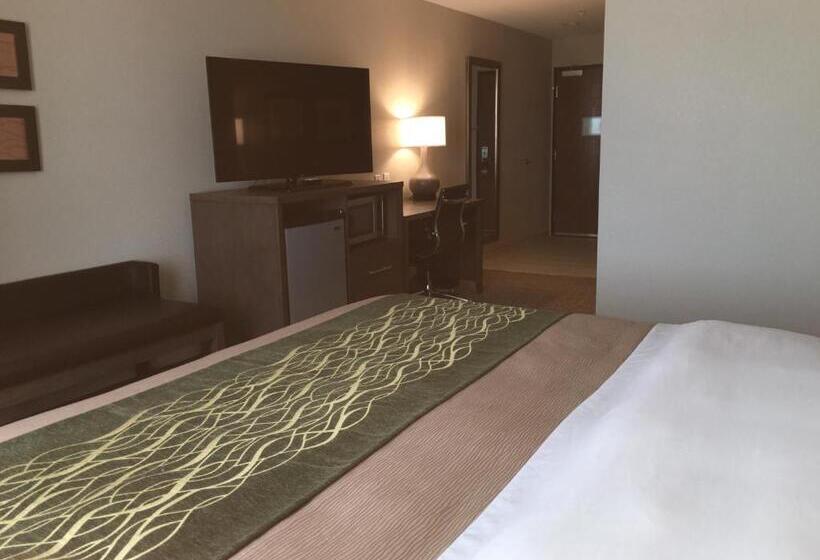 호텔 Comfort Inn & Suites Snyder