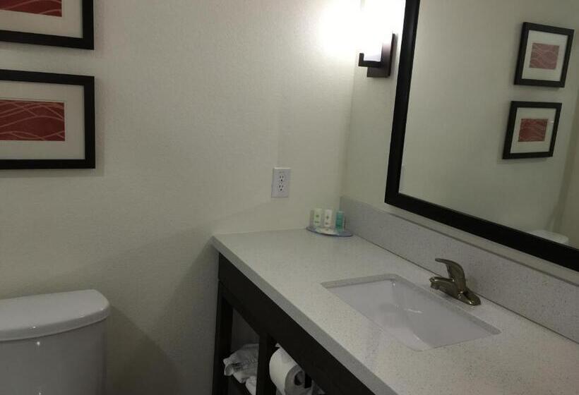 Отель Comfort Inn & Suites Snyder