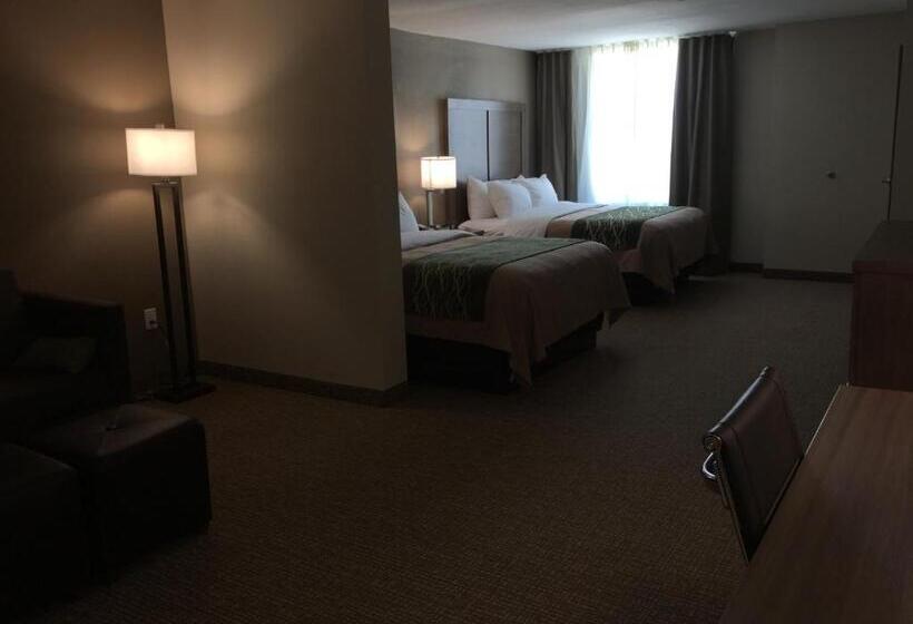 ホテル Comfort Inn & Suites Snyder