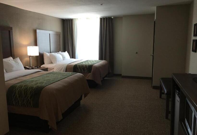 ホテル Comfort Inn & Suites Snyder