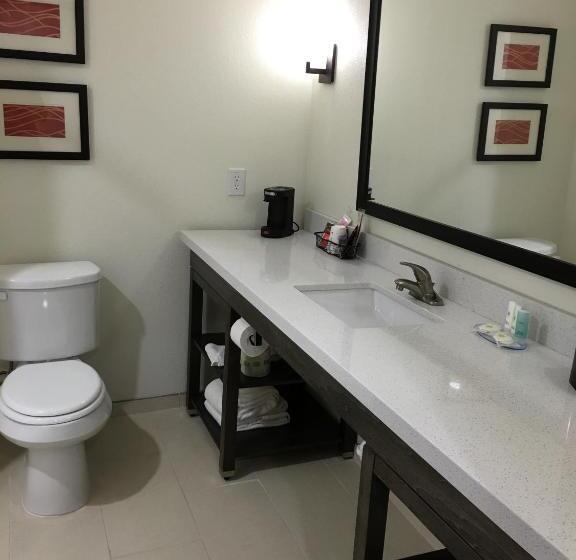 ホテル Comfort Inn & Suites Snyder