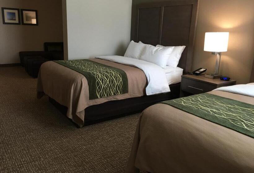 בית מלון כפרי Comfort Inn & Suites Snyder
