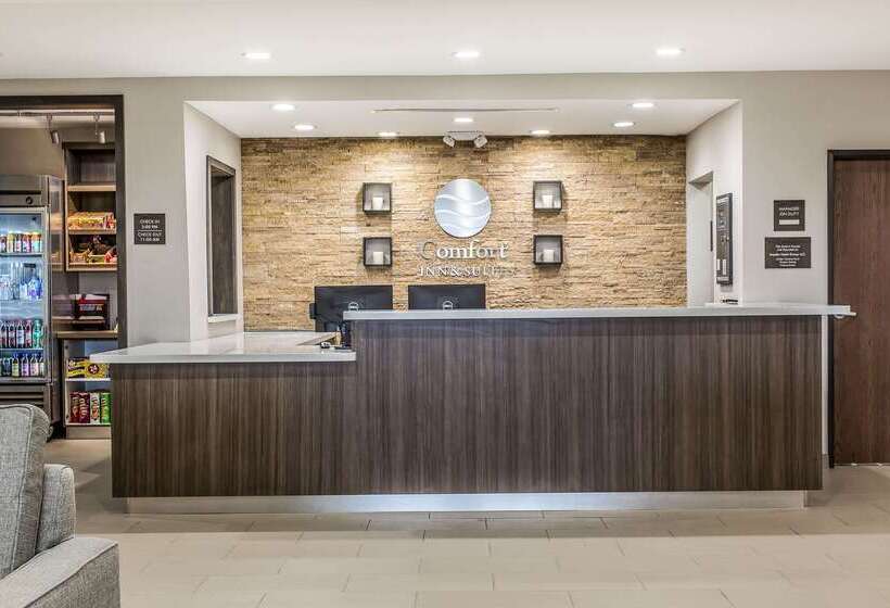 酒店 Comfort Inn & Suites Snyder