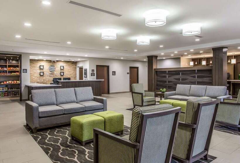 호텔 Comfort Inn & Suites Snyder