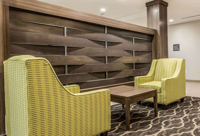 酒店 Comfort Inn & Suites Snyder