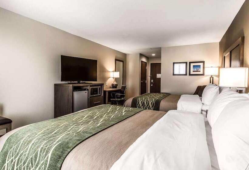 ホテル Comfort Inn & Suites Snyder