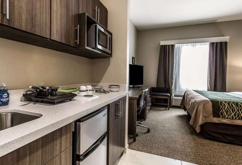 酒店 Comfort Inn & Suites Snyder