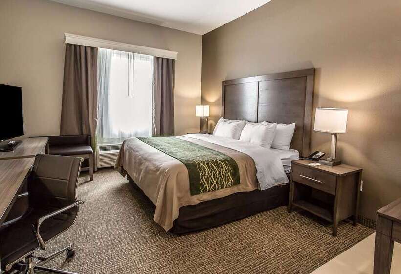 ホテル Comfort Inn & Suites Snyder