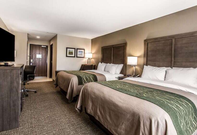 בית מלון כפרי Comfort Inn & Suites Snyder