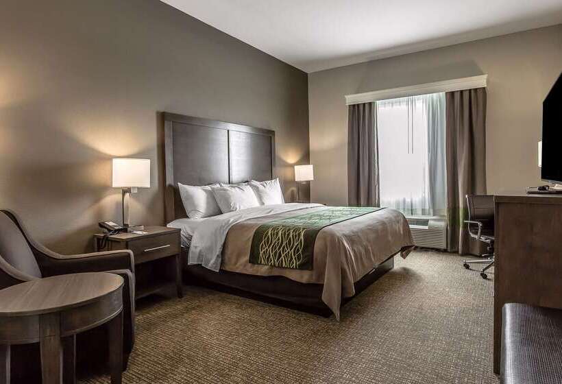 酒店 Comfort Inn & Suites Snyder