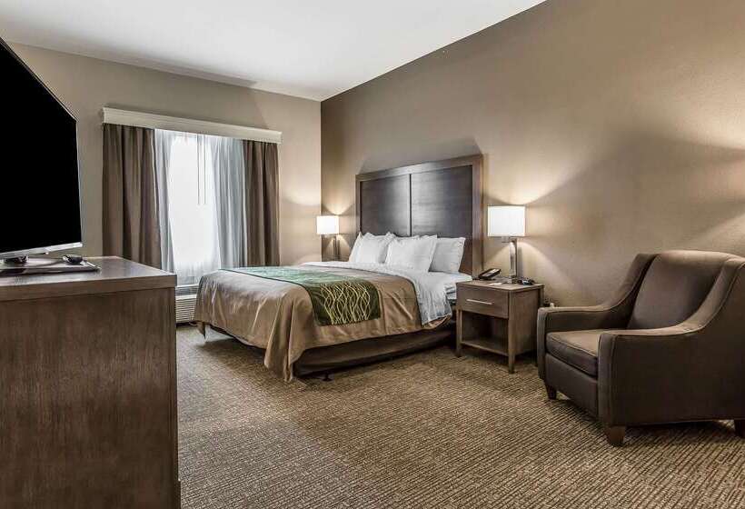 ホテル Comfort Inn & Suites Snyder