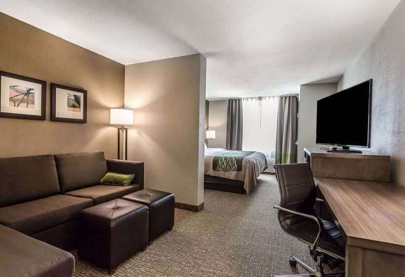 酒店 Comfort Inn & Suites Snyder