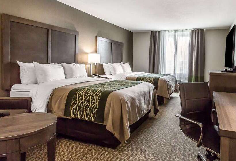 בית מלון כפרי Comfort Inn & Suites Snyder