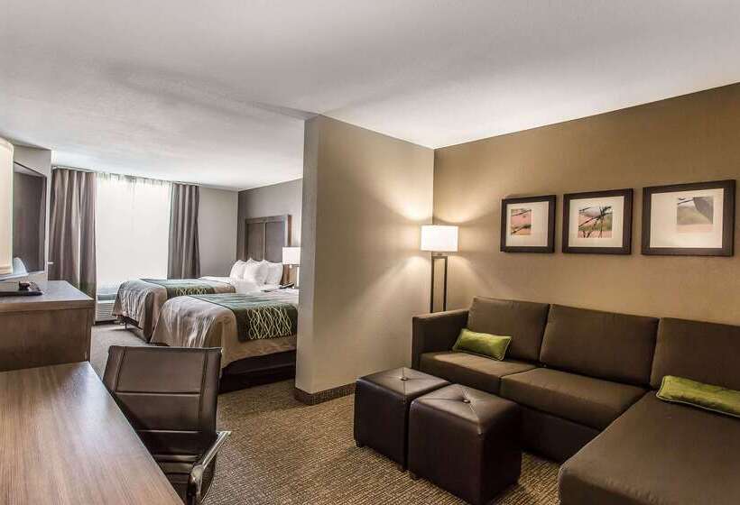 호텔 Comfort Inn & Suites Snyder