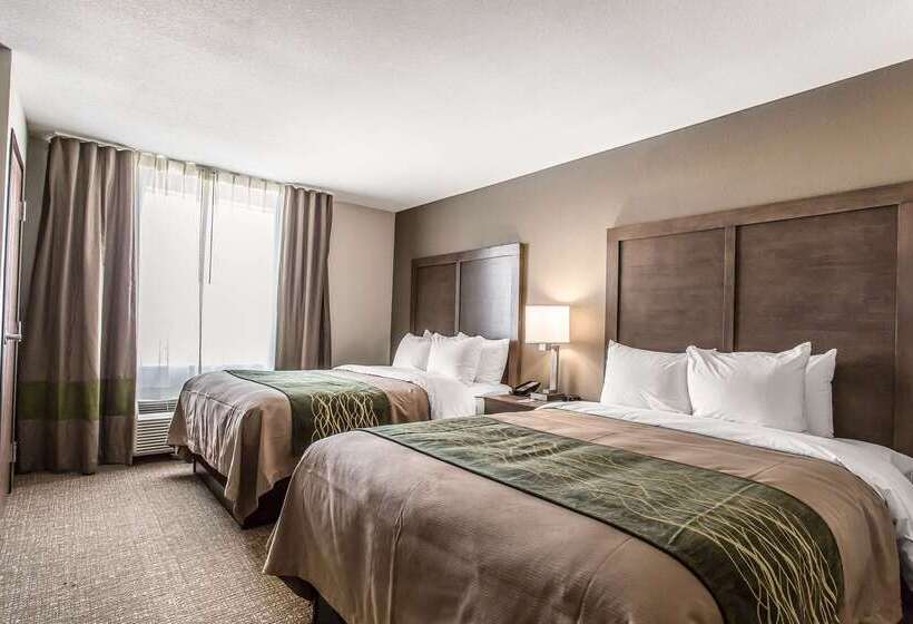 בית מלון כפרי Comfort Inn & Suites Snyder