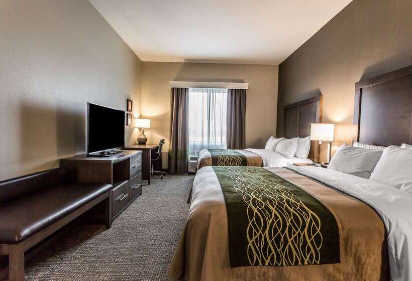 酒店 Comfort Inn & Suites Snyder