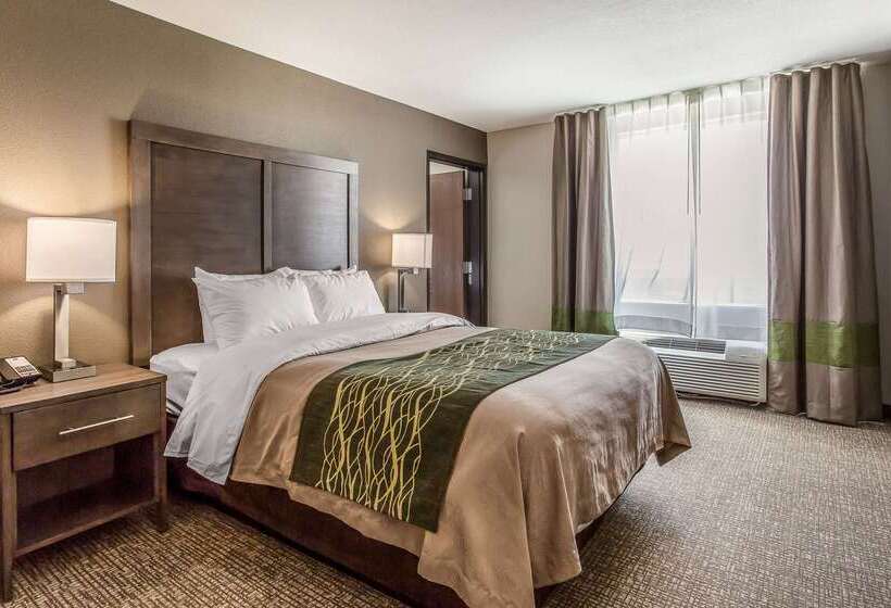 ホテル Comfort Inn & Suites Snyder