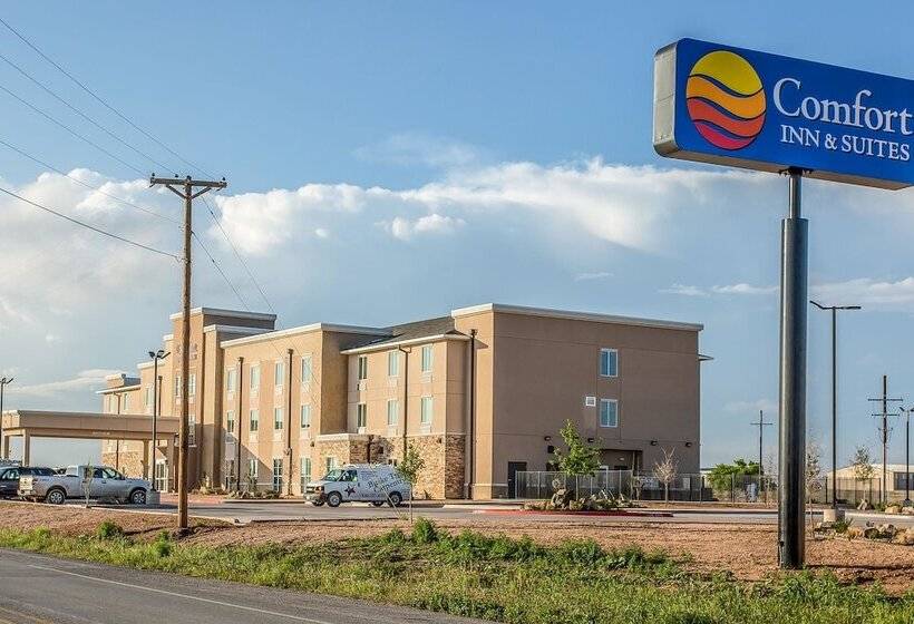 호텔 Comfort Inn & Suites Snyder