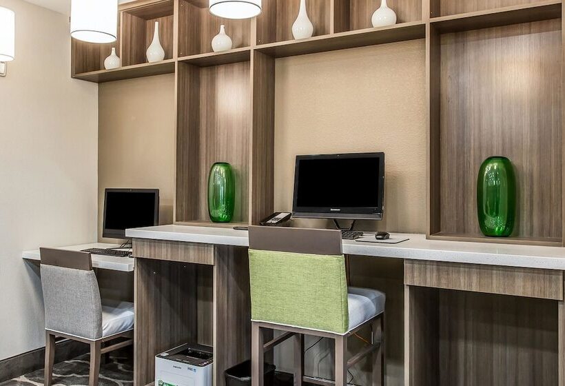 בית מלון כפרי Comfort Inn & Suites Snyder