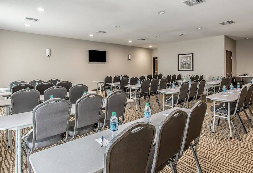 호텔 Comfort Inn & Suites Snyder