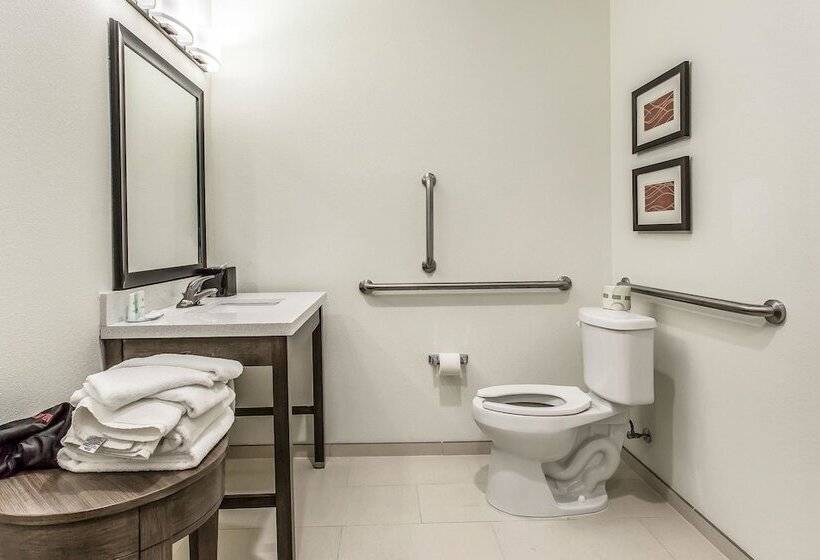 בית מלון כפרי Comfort Inn & Suites Snyder