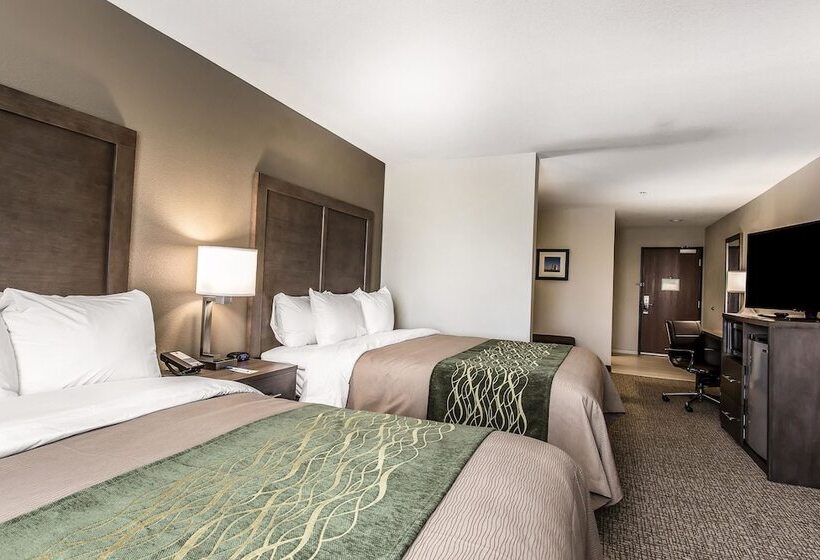 호텔 Comfort Inn & Suites Snyder