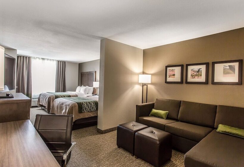 בית מלון כפרי Comfort Inn & Suites Snyder