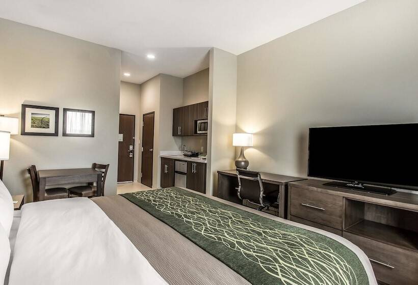 호텔 Comfort Inn & Suites Snyder