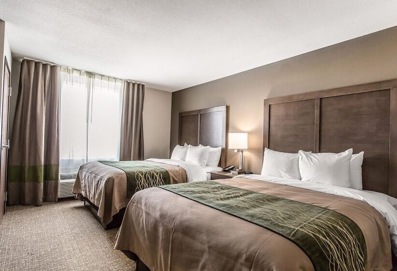 בית מלון כפרי Comfort Inn & Suites Snyder