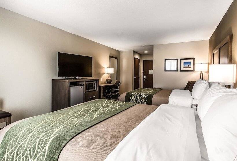 酒店 Comfort Inn & Suites Snyder