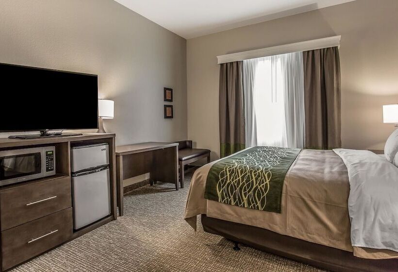 בית מלון כפרי Comfort Inn & Suites Snyder