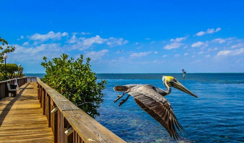 בית מלון כפרי Florida Bay Club