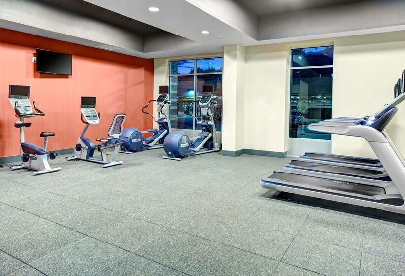 فندق Hampton Inn & Suites By Hilton Atlanta Perimeter Dunwoody