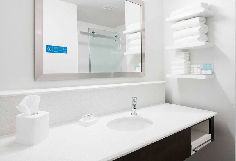 فندق Hampton Inn & Suites Hudson