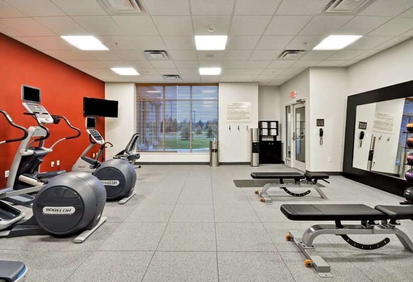 בית מלון כפרי Hilton Garden Inn Detroit Troy