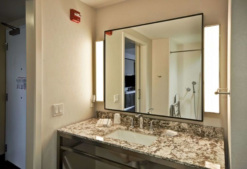 فندق Hilton Garden Inn Detroit Troy