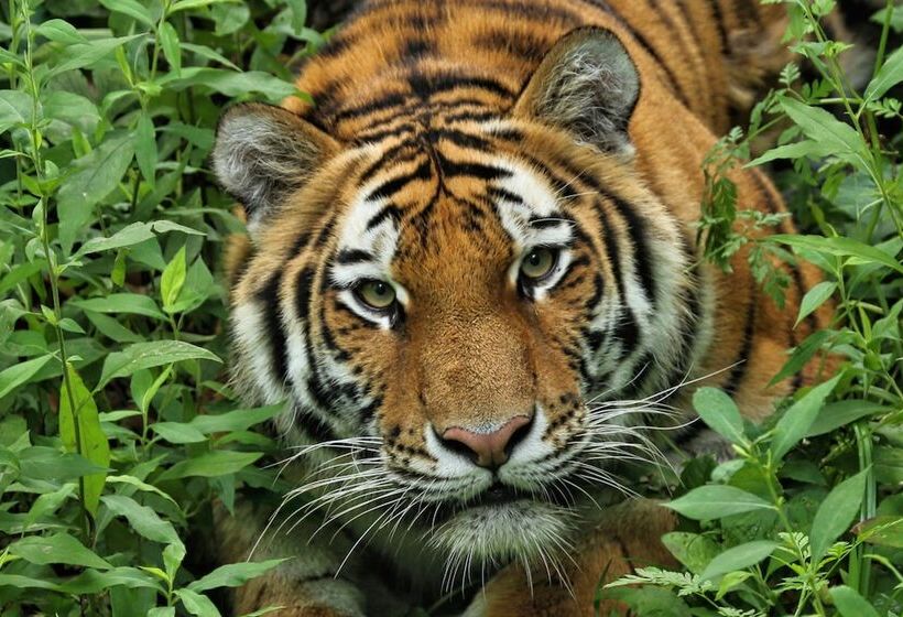 בית מלון כפרי Holiday Inn Express & Suites Eagan   Minneapolis Area, An Ihg