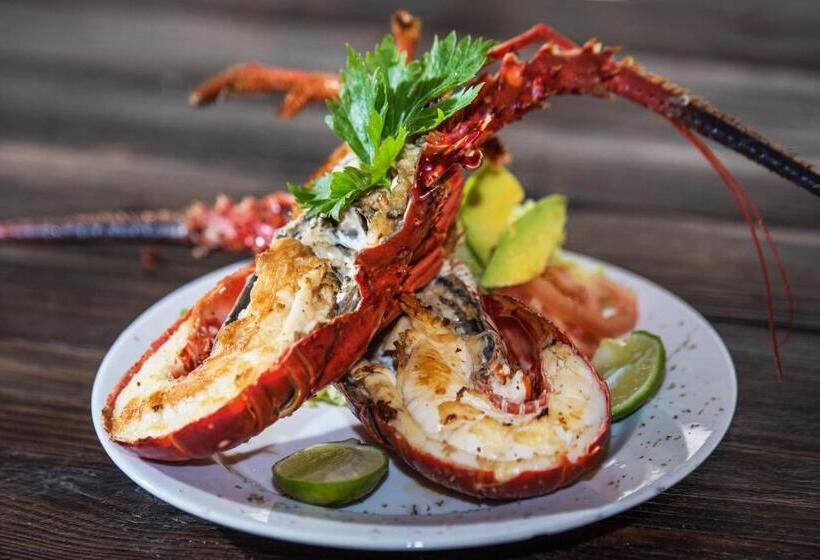 Отель Isla Del Sol