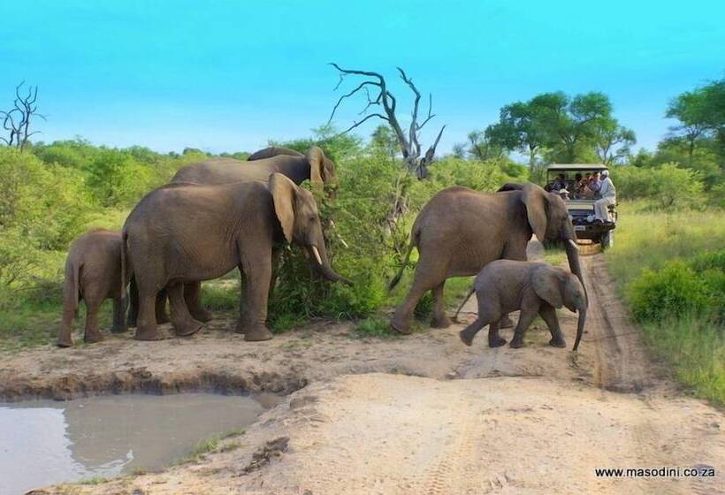 בית מלון כפרי Masodini Game Lodge