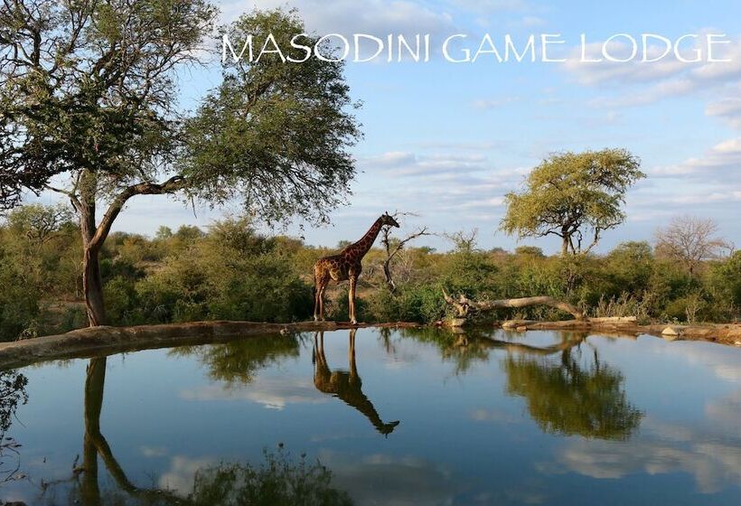 בית מלון כפרי Masodini Game Lodge