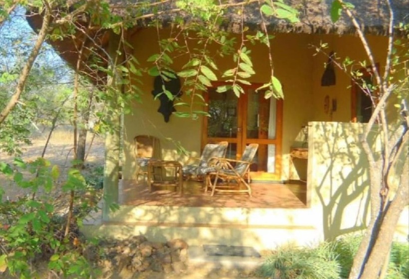 בית מלון כפרי Masodini Game Lodge