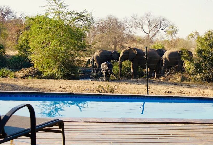 בית מלון כפרי Masodini Game Lodge